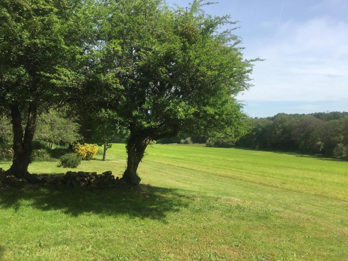 Gite Au Calme 2 A 6 Personnes Dans Un Paysage Totalement Paisible -Plages A 22 Min- Quite Cottage 2 To 6 Persons In Total Peaceful Landscape -Beaches At 22 Min- Landévant Eksteriør billede